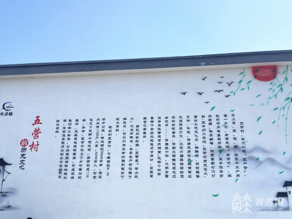 江苏新沂新店镇：墙绘文化扮靓美丽乡村 谱写乡村振兴新篇章(图2)