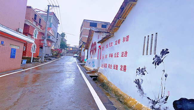 厦门城市职业学院多措并举助力联系挂钩村居振兴发展(图2)
