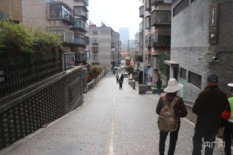 “先生来了·杏好有你”第四届银杏文化艺术节即将启幕(图4)