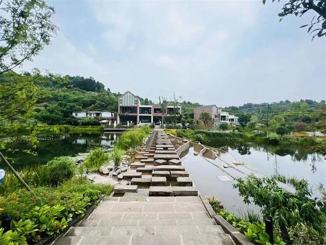 青年发展型城区建设 龙泉山城市森林公园片区： 世界级品质的城市绿心加速成型(图12)