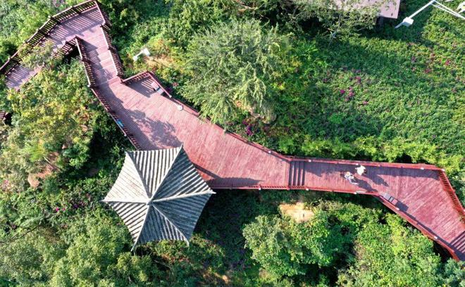 做优做强 六区共兴丨龙泉山城市森林公园片区： 世界级品质的城市绿心加速成型(图10)