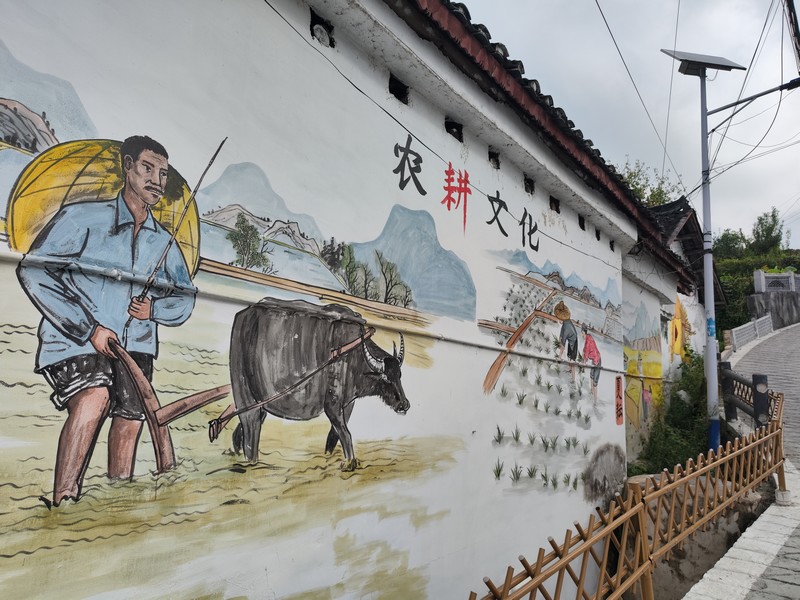 贵州黄平：墙绘扮靓“新农村”(图3)