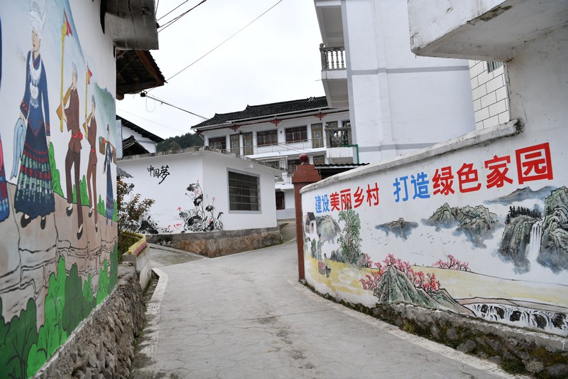 贵州黄平：墙绘扮靓“新农村”(图2)
