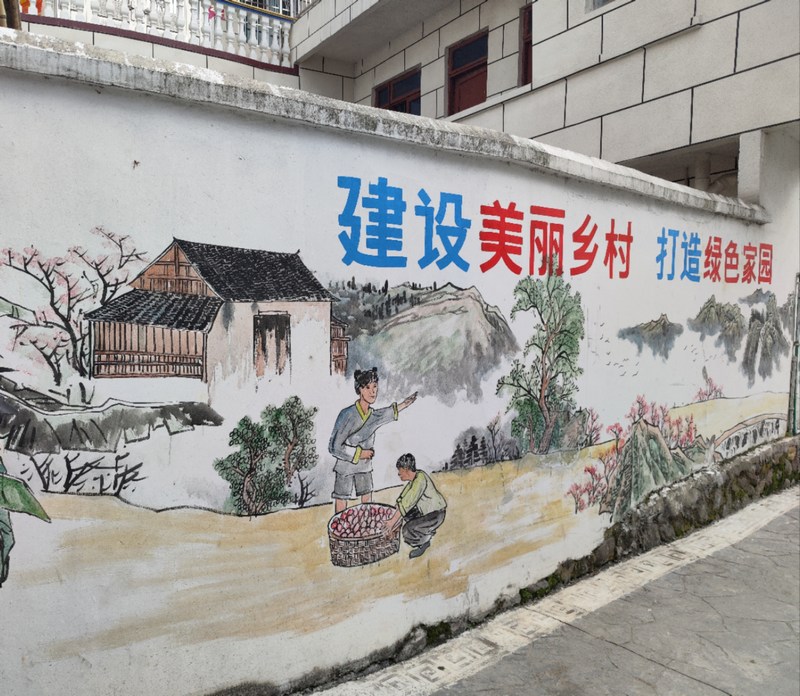 贵州黄平：墙绘扮靓“新农村”(图5)