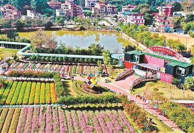 共赴文明之约 绘美丽乡村画卷 走进广州文明村镇见证乡村焕发新气象(图2)