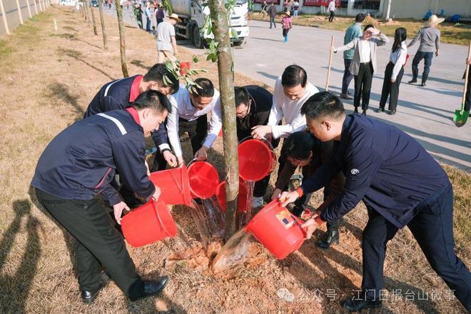 台山四九：描绘森林城镇画卷每万人拥有“绿”217公里(图3)