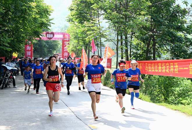 山乡巨变——河南淅川县以“星旗同创”领航乡村振兴(图3) 山乡巨变——河南淅川县以“星旗同创”领航乡村振兴(图3)