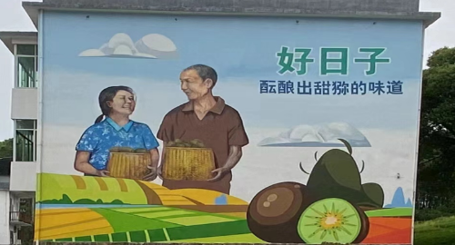 【宜春】奉新县多彩墙绘为乡村振兴“润色添彩”(图7)