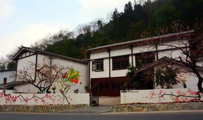 桃花荟·春光好 桃花墙上“开”！龙泉山农家院落美如“画”(图2)