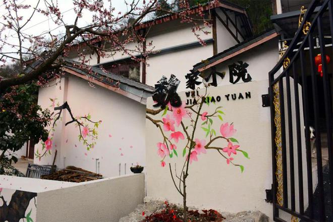 桃花荟·春光好 桃花墙上“开”！龙泉山农家院落美如“画”(图3)