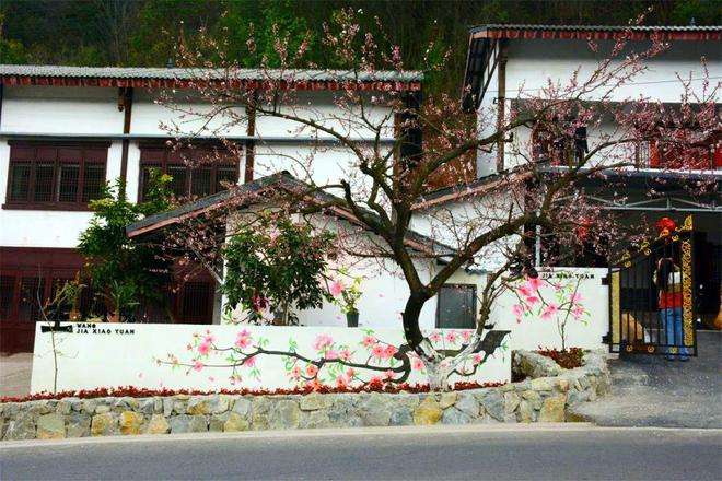 桃花荟·春光好 桃花墙上“开”！龙泉山农家院落美如“画”(图6)