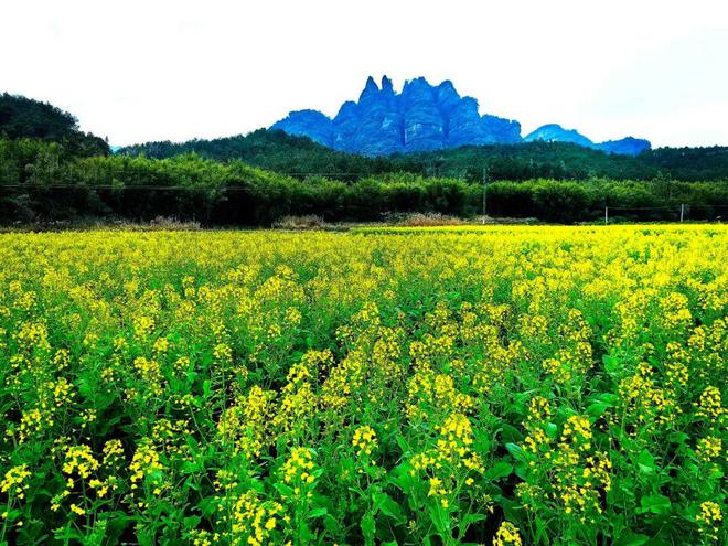 “农行杯”第十七届穿越丹霞山50公里徒步赛（春季）鸣笛开赛(图7)