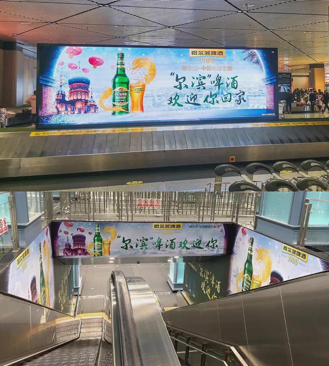 城市旅游热的“泼天富贵”哈尔滨啤酒怎么接?(图6) 城市旅游热的“泼天富贵”哈尔滨啤酒怎么接?(图6)