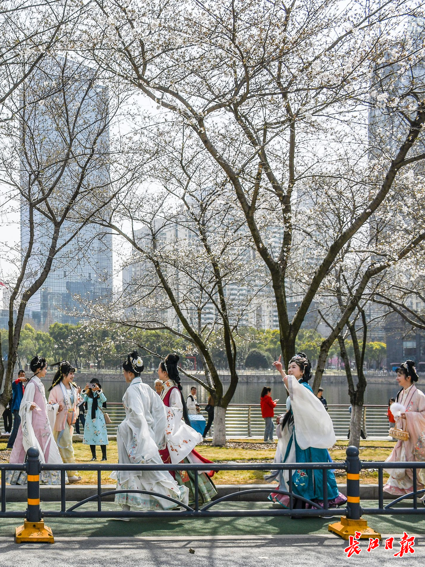 大美春景谁绘就(图3)