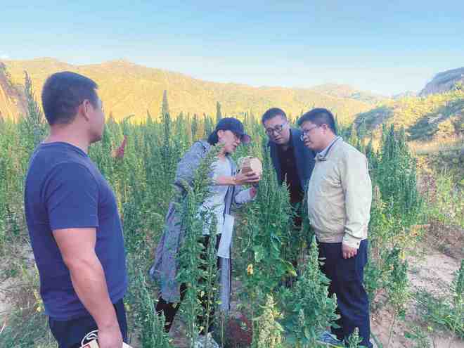文旅干部书写挂职故事(图3) 文旅干部书写挂职故事(图3)