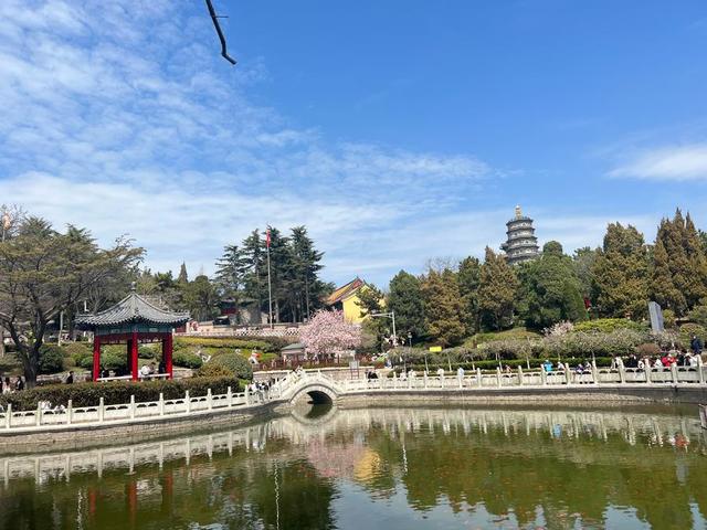 人文青岛墙绘故居藏于小巷中——福山支路彩绘出圈追溯背后的人文踪迹和文化密码(图8)
