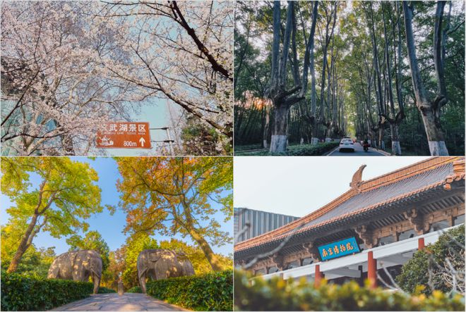 南京文旅“长红”密码：深掘底蕴与焕新双驱动催生跨界合作升级(图5)