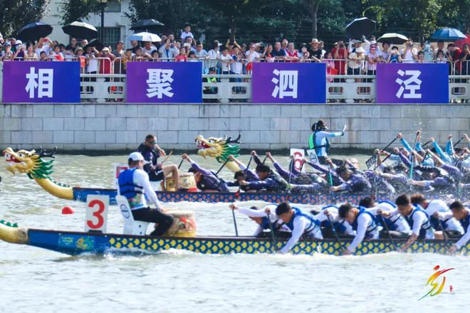 远山如黛、近水含烟、鱼跃鸟飞……泗泾这些街景美不胜收(图2)