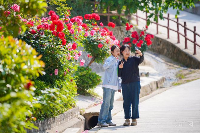 甘肃成县：乡村焕彩韵味新(图4)