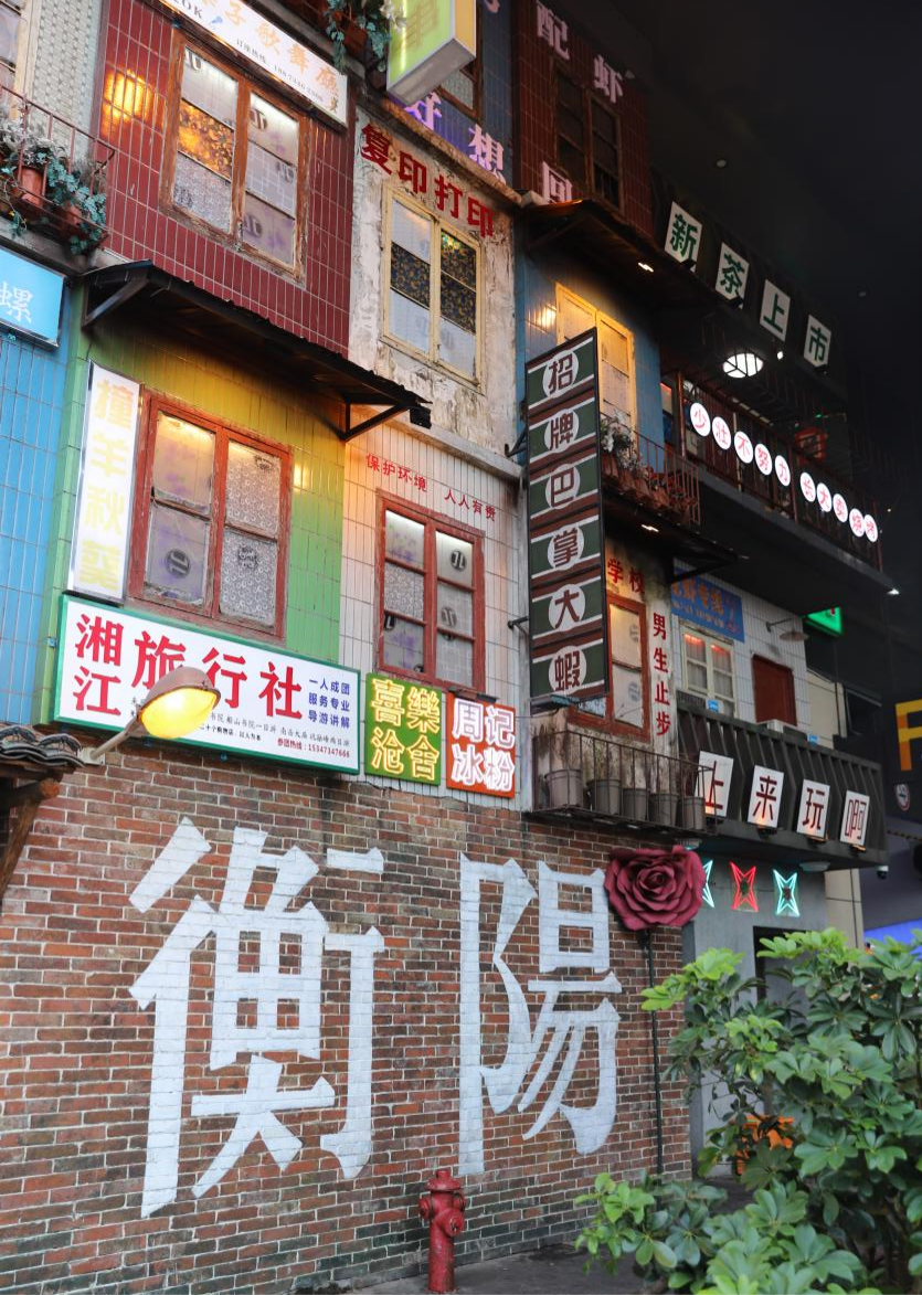 衡阳市蒸湘区：0元打卡拍照胜地南华里(图5)