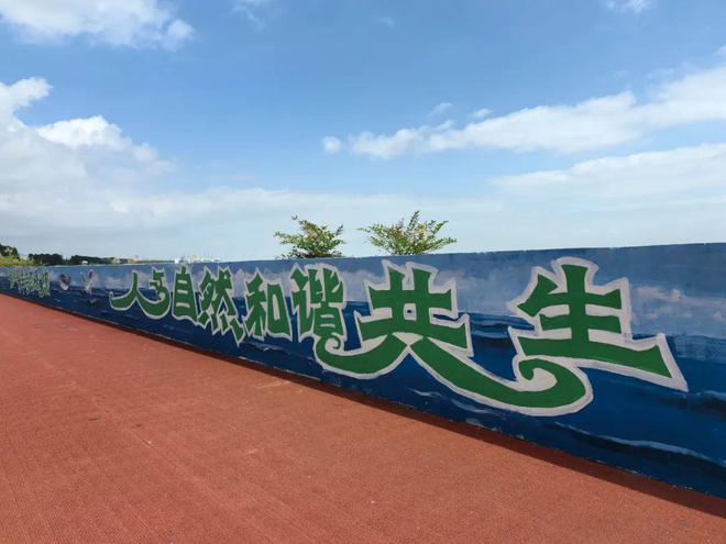崇明江堤又添新景(图2)
