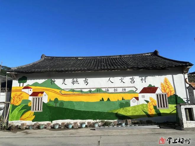 青春画笔勾勒美丽莒村！“百千万工程”大学生突击队绘出湖寮新画卷(图2)