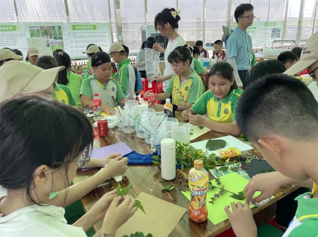 广州科技贸易职院：绿创青春突击队三下乡共绘乡村振兴美好蓝图(图3)