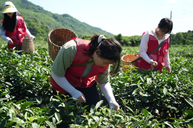 暑期“三下乡”（下） 相约今夏川影人以艺术之力服务乡村(图17)
