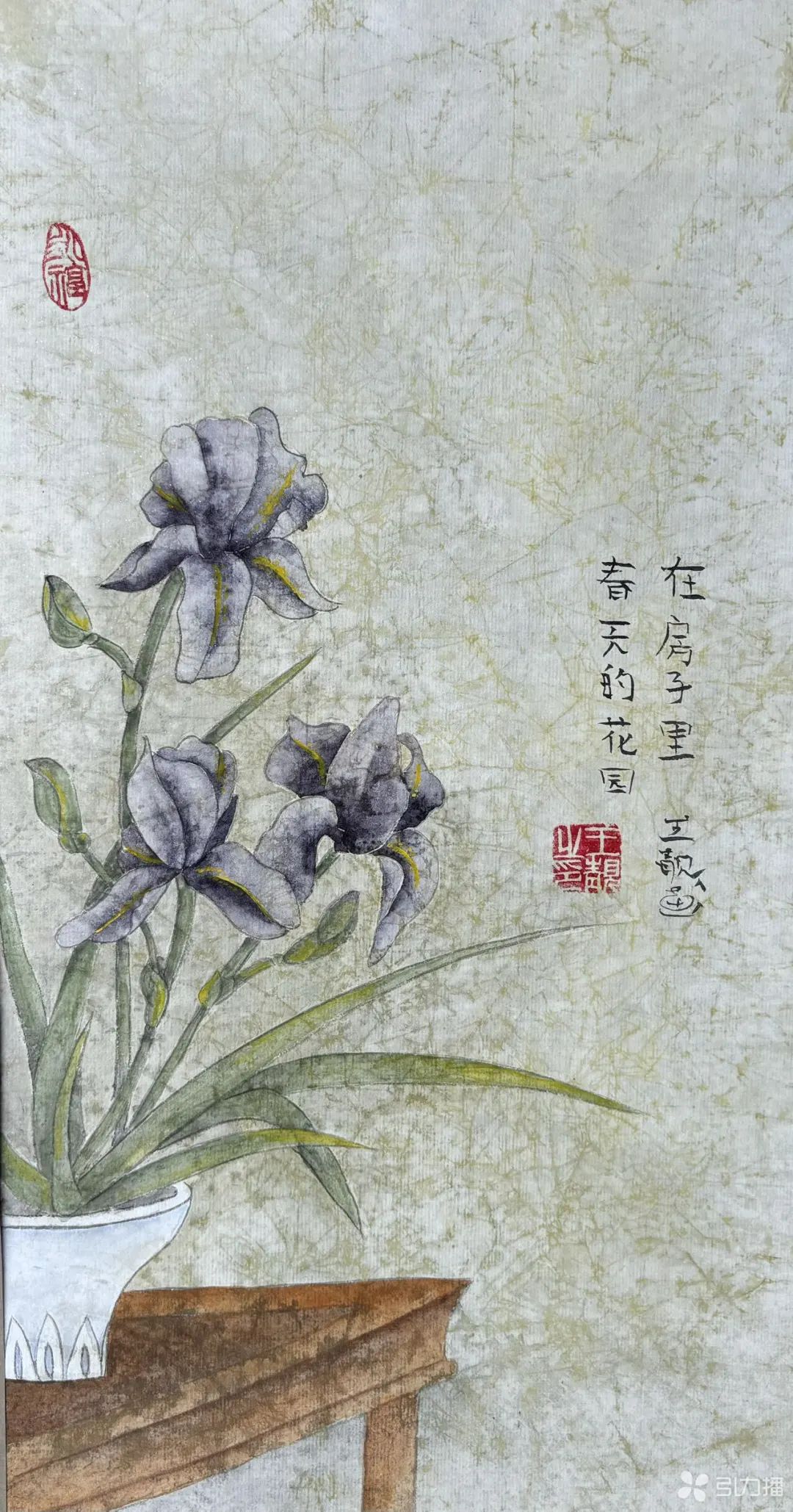 爱上中国画的79岁法国老太在苏州圆了中国梦！(图6)