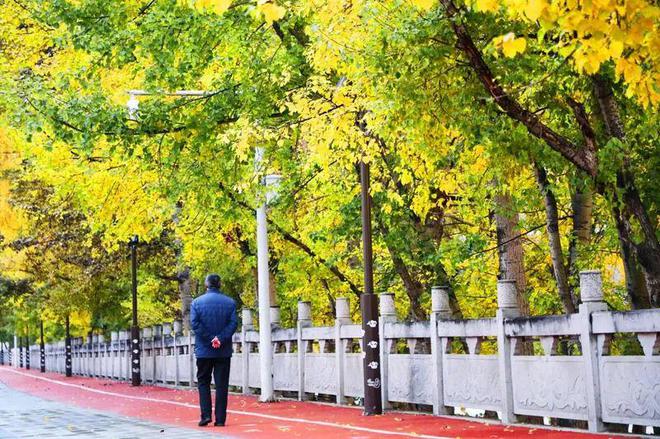夏河 焕然一新！(图3)