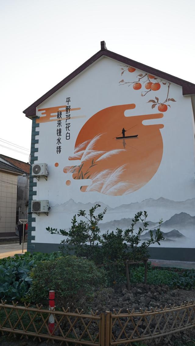 速来围观！练塘这里有一墙的风景！(图7)