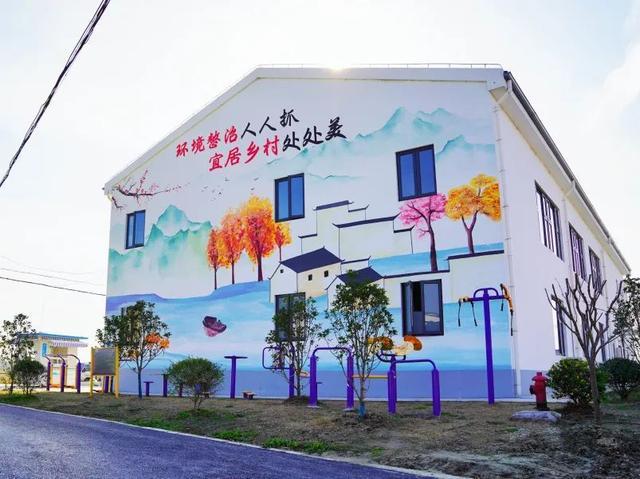 速来围观！练塘这里有一墙的风景！(图5)