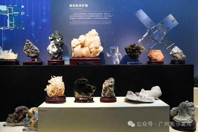明日开馆免费参观南沙又一个网红打卡点→(图3)