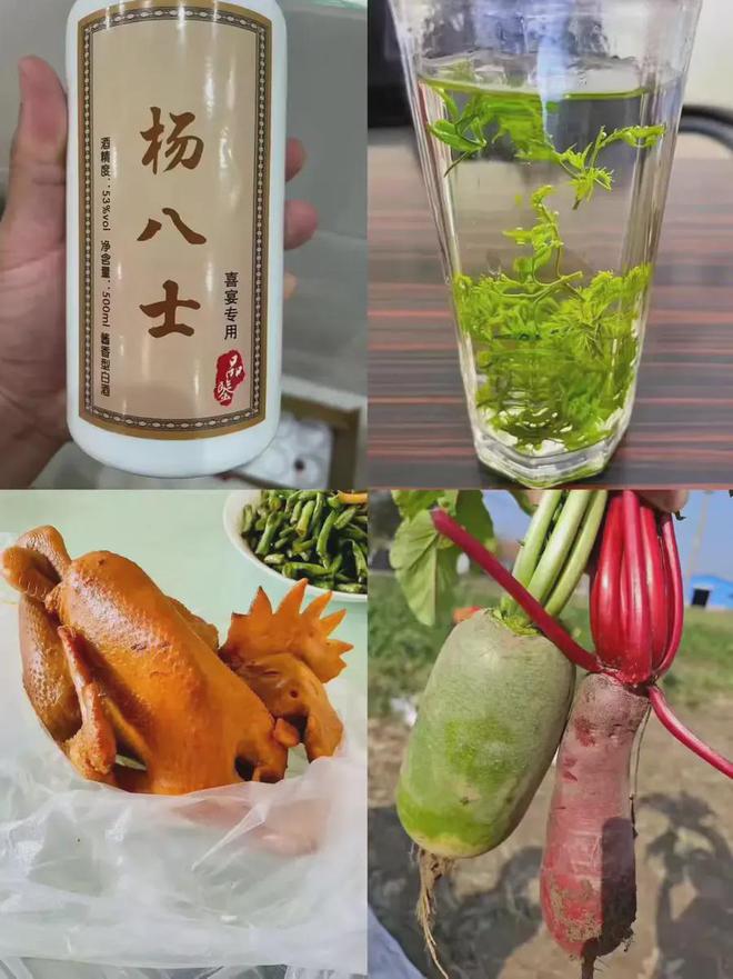 陈国瑞:步履不停为新时代乡村振兴事业奉献青春热血(图2) 陈国瑞:步履不停为新时代乡村振兴事业奉献青春热血(图2)