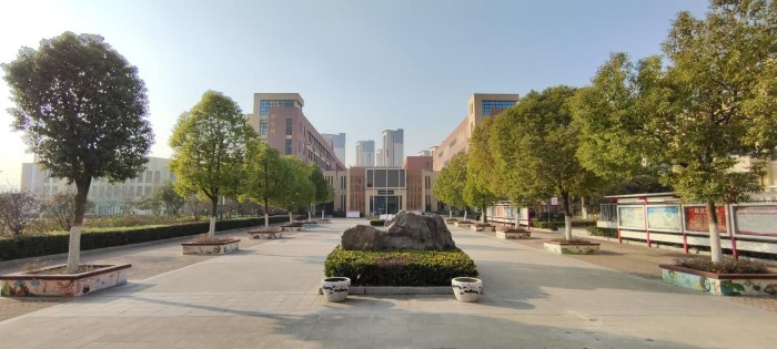 展彩绘之美 筑和合校园——记合肥一六八新店花园学校校园彩绘系列活动(图9)