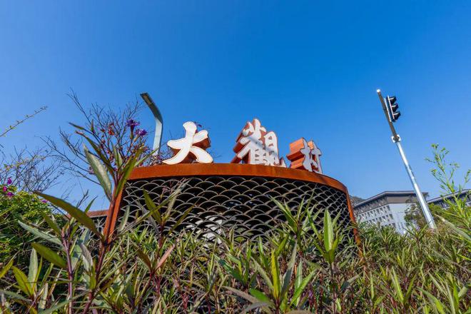 温州又一网红村！现在超火(图8)