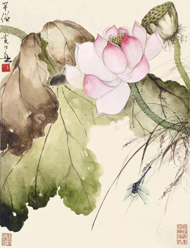 赵少昂的残荷之美(图4)