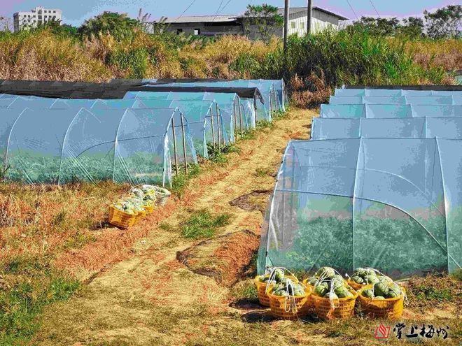 兴宁市兴田街道:邂逅历史遗珠畅享多彩文旅(图11) 兴宁市兴田街道:邂逅历史遗珠畅享多彩文旅(图11)