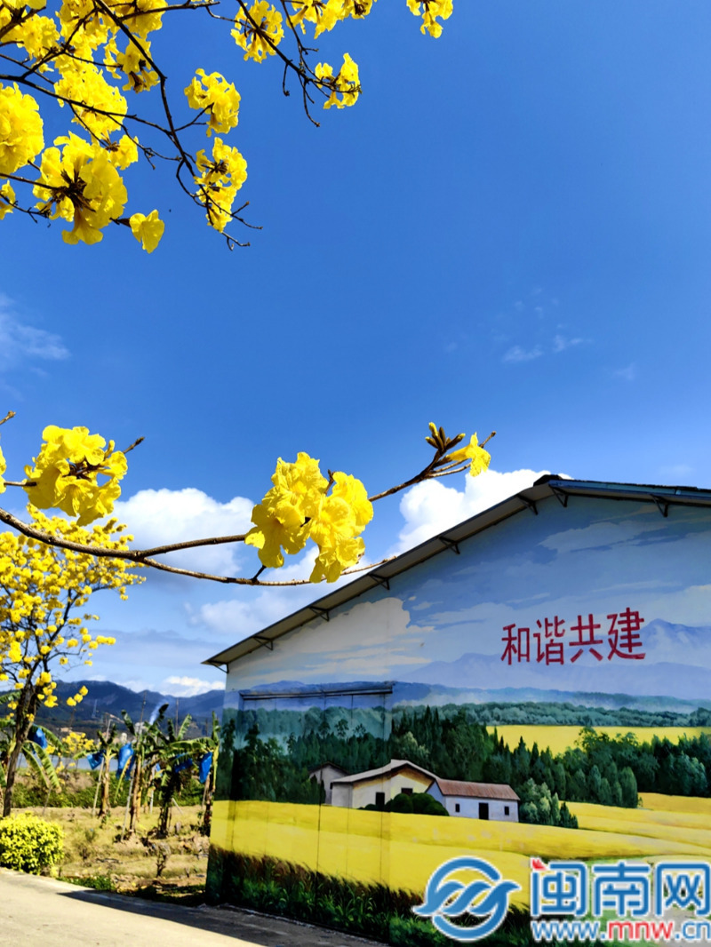 南靖县靖城镇尚寨村举办“金色浪漫·醉美尚寨”主题摄影活动(图2)